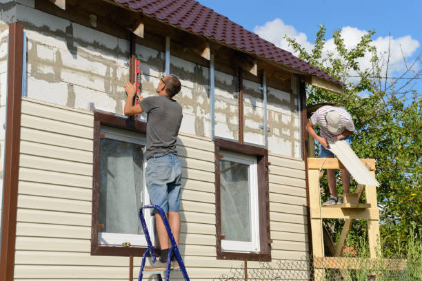 Best Aluminum Siding Installation  in Ladoga, IN