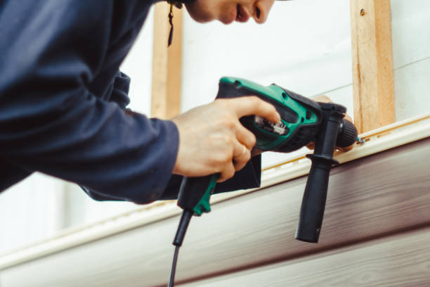 Best Custom Siding Design  in Ladoga, IN